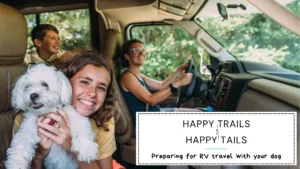 Family RV travel with dog